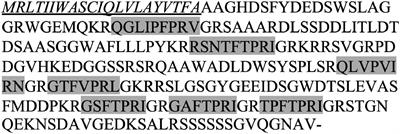 Myotropic Activities of Tick Pyrokinin Neuropeptides and Analog in Feeding Tissues of Hard Ticks (Ixodidae)